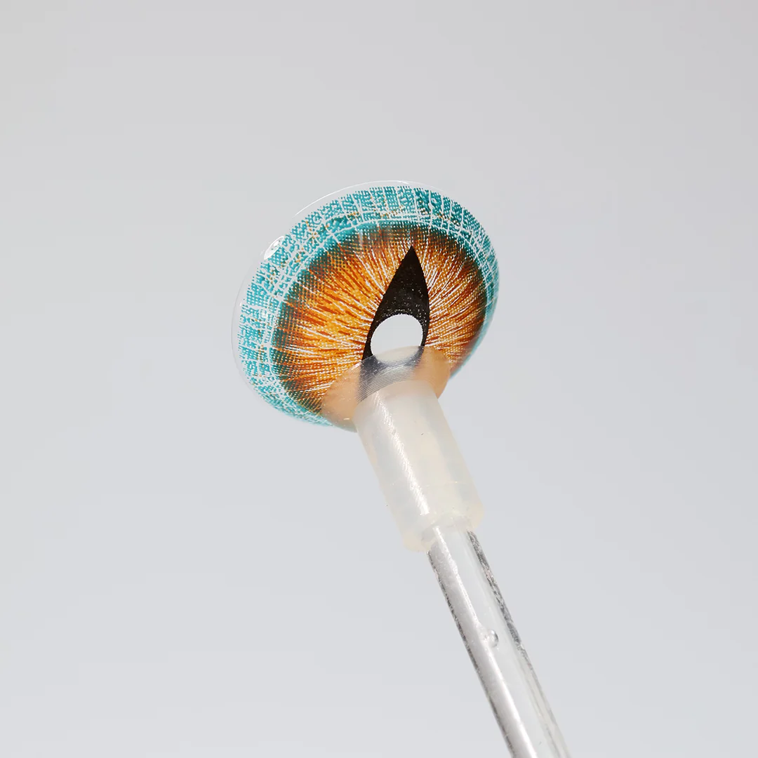 Princess Pinky Brown Lizard Mini Sclera - Image 4
