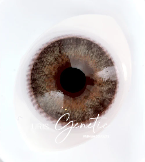 Uris Genetic Brown - Image 2